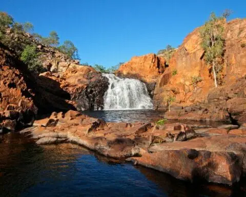 ndis plan managers darwin