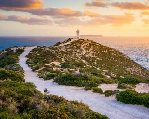 ndis plan managers adelaide